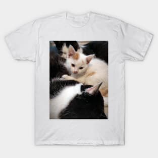 A nap with cats T-Shirt